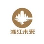 湘江未来ico