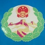 潮安信访公众号ico