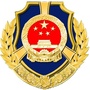 青岛西海岸综合执法ico