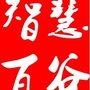 智慧田阳百谷村ico