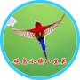 观鸟小镇八里关ico