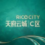天府云城 C区ico