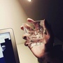 饭爷的江湖公众号ico