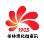 陕西延长石油榆林煤化有限公司ico