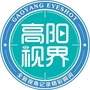 高阳视界ico