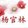 奔跑吧杨官林ico