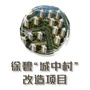 徐碧城中村改造ico