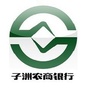 子洲农商银行V视野ico