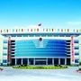 坦洲公安ico