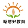 高陵昭慧好教育ico