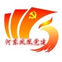 河东凤凰党建ico
