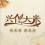 兴化大米店ico