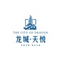 安庆龙城天悦ico