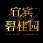 碧桂园在宜宾ico