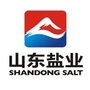 山亭盐务局ico