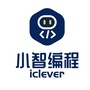 小智编程公众号ico