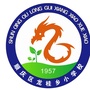 南充市顺庆区龙桂小学ico