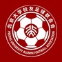 北大校友足球联合会ico