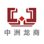 中洲龙商ico