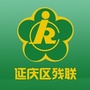 延庆残联ico
