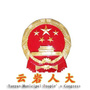 云岩人大公众号ico