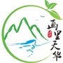 画里天华ico