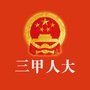 三甲人大ico