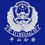 平山公安ico