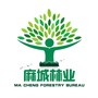 麻城林业ico
