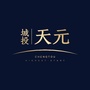 城投天元ico