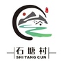 田园石塘ico
