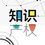 知识产权发展促进中心ico
