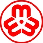 集宁巾帼风采ico