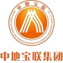 中地宝联ico