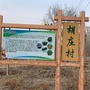 静谧胡庄ico