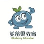 蓝莓果教育潍坊高新校区ico