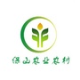 保山农业ico