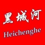 黑城河网事ico