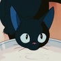猫崽的星座屋ico