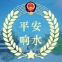响水微警务ico