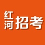 红河人事招考ico