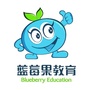 蓝莓果教育东西湖校区ico