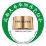 成都天府华阳文联ico