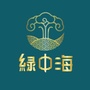 泗泾绿中海ico