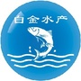 三水白金ico
