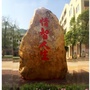 西樵镇第一小学ico