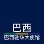 巴西在中国ico