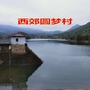 圆梦西郊ico