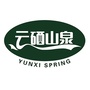 云硒山泉公众号ico