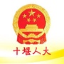 十堰人大ico